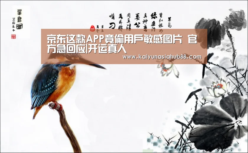 京东这款APP竟偷用户敏感图片 官方急回应|开运真人(图3) 开运平台