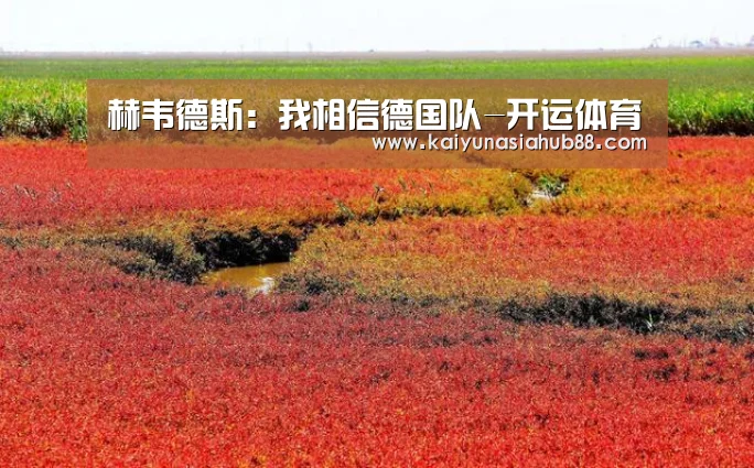 开运真人